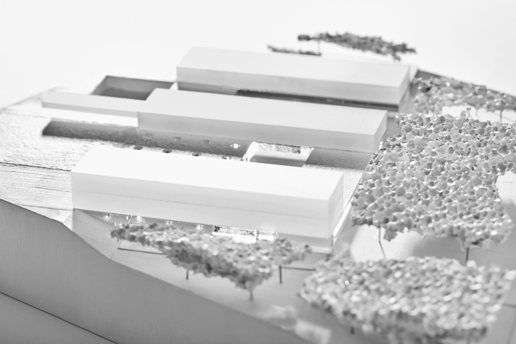  architektas Pašilaičiuose, edukacinė architektūra, tvarus projektas, ugdymo įstaigos dizainas, reljefo integravimas, darželis su baseinu.